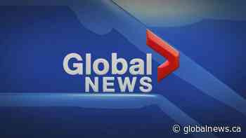 Global News Hour at 6 Edmonton: Sunday, Dec. 29