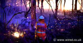 10 things you can do to help fight the climate crisis in 2020