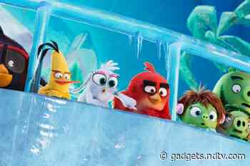 Amazon Prime Video January 2020 Releases: Star Trek: Picard, The Angry Birds Movie 2, and More