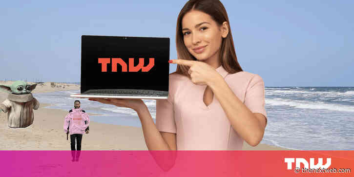 Our favorite things on the internet in 2019