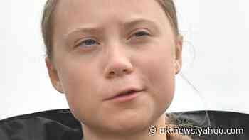 We made changes in our lives to save Greta not the climate, says Svante Thunberg