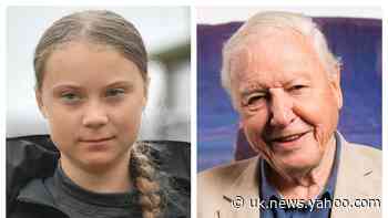 Greta Thunberg: Attenborough inspired me to act on climate change