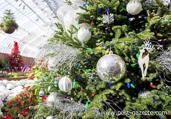 Walkabout: I tried to give Christmas the slip, but it wouldn’t let me