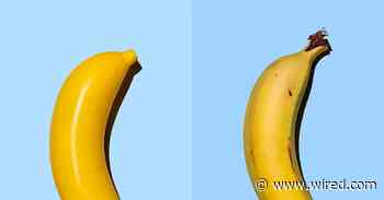 Internet Deception Is Here to Stay—So What Do We Do Now?