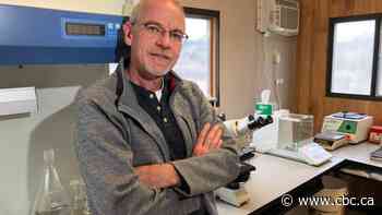 Meet the man weaponizing algae in the fight against the climate crisis