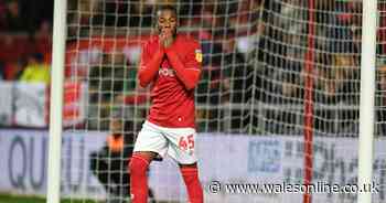 The latest on Swansea City's interest in Bristol City and ex-Chelsea starlet Kasey Palmer and what needs to happen next