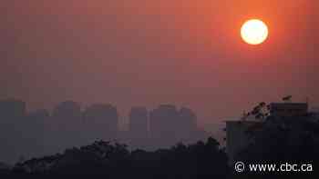 What you can do in 2020 to keep the world from burning up: Don Pittis