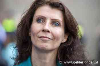 PvdD wil dat Kamer zelf vuurwerkverbod regelt