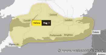 Travel delays likely as Met Office issues yellow weather warning for fog