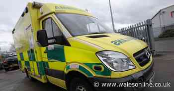 Thousands of hoax 999 calls to Welsh Ambulance Service waste 369 hours of staff time