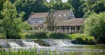 Family's £250 Christmas meal ruined because of 'disastrous' service