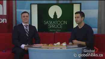 Food for thought: Saskatoon spruce cheese