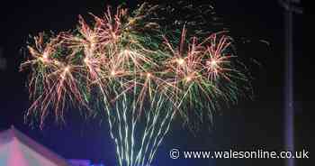 What the Government has said about banning the public sale of fireworks