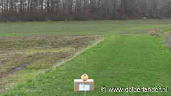 Cobra 6 vs. meloen: ‘Als je dit in de hand afsteekt overleef je het niet’