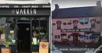 The best places to eat vegan and vegetarian in Carmarthenshire if your new year's resolution is to eat less meat