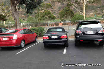 Small parking stalls and late-night vacuuming: Top 10 absurd 911 calls in 2019