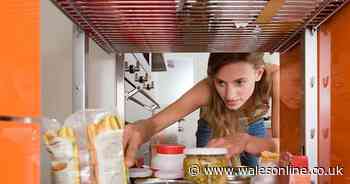 Parents post job advert for a nanny to cook and clean for 18-year-old daughter