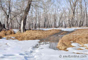 Watershed Condition Statement – Water Safety