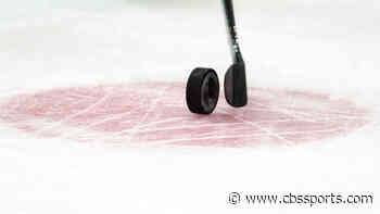 Team owner, 55, suits up as emergency player in Federal Prospects Hockey League game