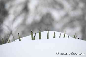 'Difficult or impossible travel': Winter storm wreaks havoc from Midwest to Northeast