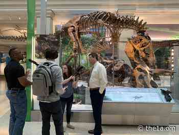 Dinosaurs Come Back To Life At The Smithsonian (Rebroadcast)