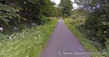 Woman threatened at knife point while she walked her dog along the Taff Trail