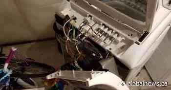 Lethbridge mother shocked after she says washing machine ‘exploded from the inside out’