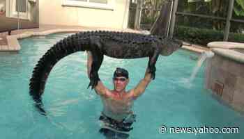 Alligators, Bananas, Naked People and Dogs Driving Cars: 2019 in Florida News