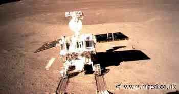 Marvel at the most remarkable scientific breakthroughs of 2019