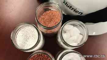 The 2010s weren't kind to Saskatchewan stock prices