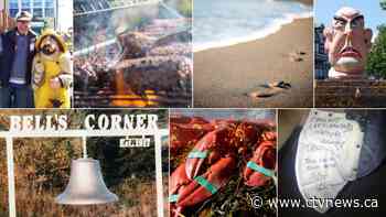 14 of the strangest things stolen in Canada in 2019