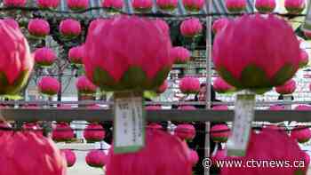 It's already 2020 somewhere: World welcomes the new decade