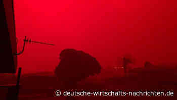 Tausende Menschen in Australien von Buschfeuern eingeschlossen