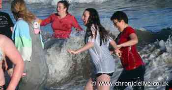 When are the New Year's Day 2020 dips in Alnmouth and Whitley Bay