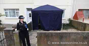 Two bodies found in Llanelli home in apparent murder-suicide
