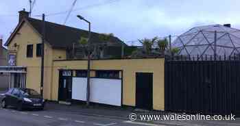 Popular Swansea pub ordered to demolish large dome by council