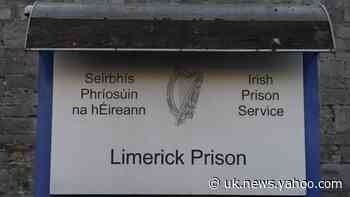 Alleged IS member Lisa Smith released on bail