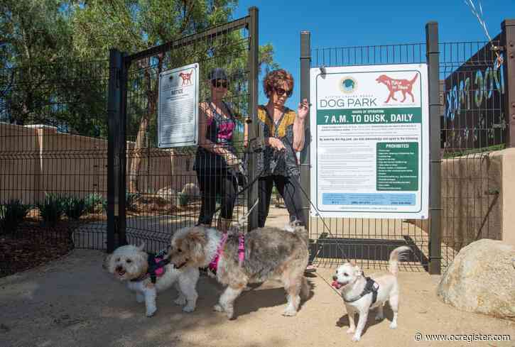 A look back at the highlights of 2019 in Laguna Woods