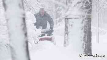 Health Canada recalls more than 15,000 snow throwers because of breaking wheel rims