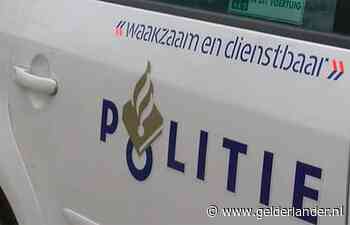 Vrouw rijdt in Limburg met gestolen busje en paardentrailer op politiewagen in