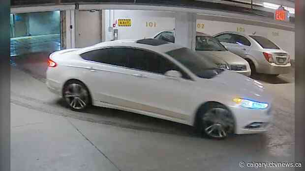 Homicide victim identified