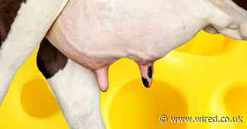 These psychological tricks can help you go vegan this January