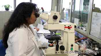 Scientists Working on Brain-Like Memory Device