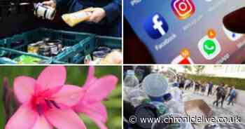 20 ways to make yourself feel good and make the world a better place in 2020