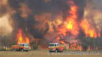 Navy ships and military aircraft called in to Australia’s wildfire crisis