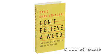 ‘Don’t Believe a Word,’ a Look at Language and Power (and Why Dolphins Have Accents)