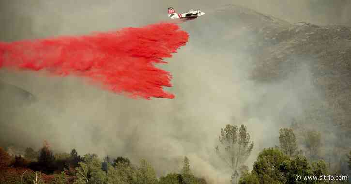 California eases way for land clearing to prevent wildfires