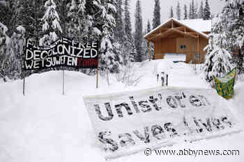 Order granted vs. opponents of Coastal GasLink pipeline in northern B.C.