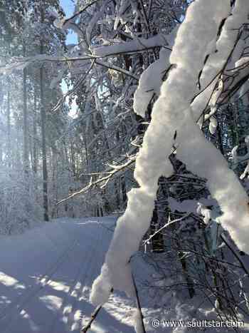 Happy Trails