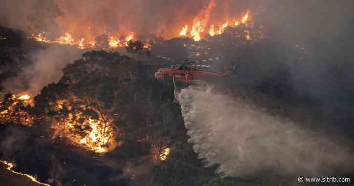 Australia sending aid to wildfire towns as death toll rises